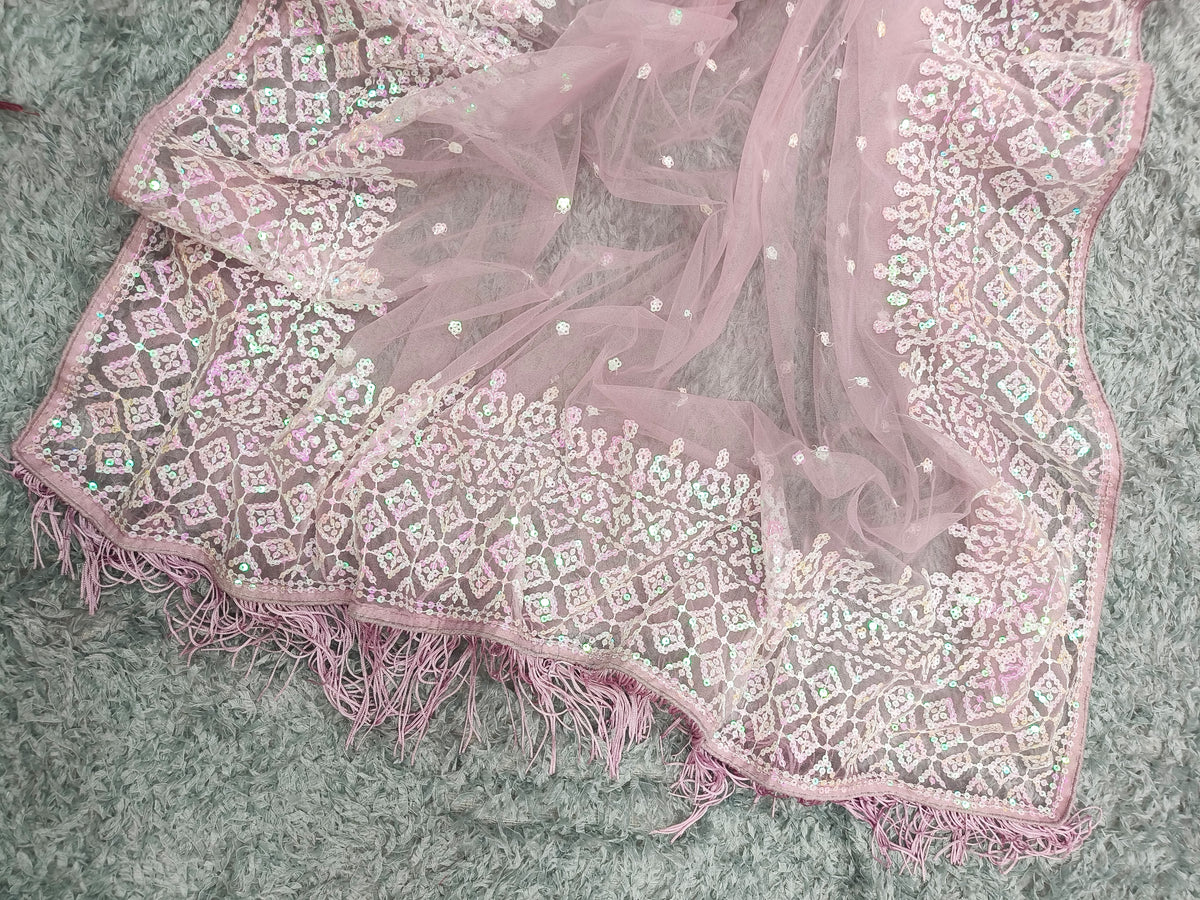Evocative Party Wear Soft Net Embroidery Sequence n Tussles Work Fancy Saree With Blouse Piece