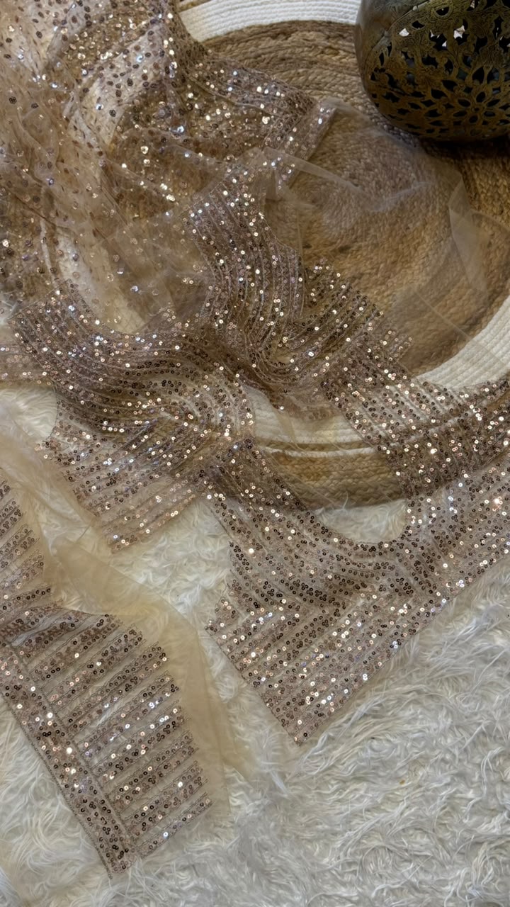 Entrancing Function Wear Mono net Embroidery Sequence n Zari Work Fancy Designer Saree With Blouse Piece